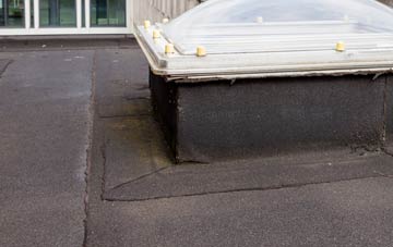disadvantages of Washington Village flat roofs