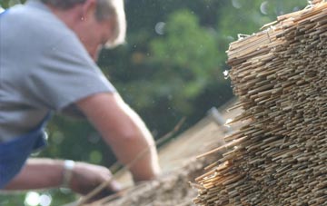 professional Washington Village thatchers