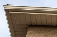 free Washington Village fascia quotes